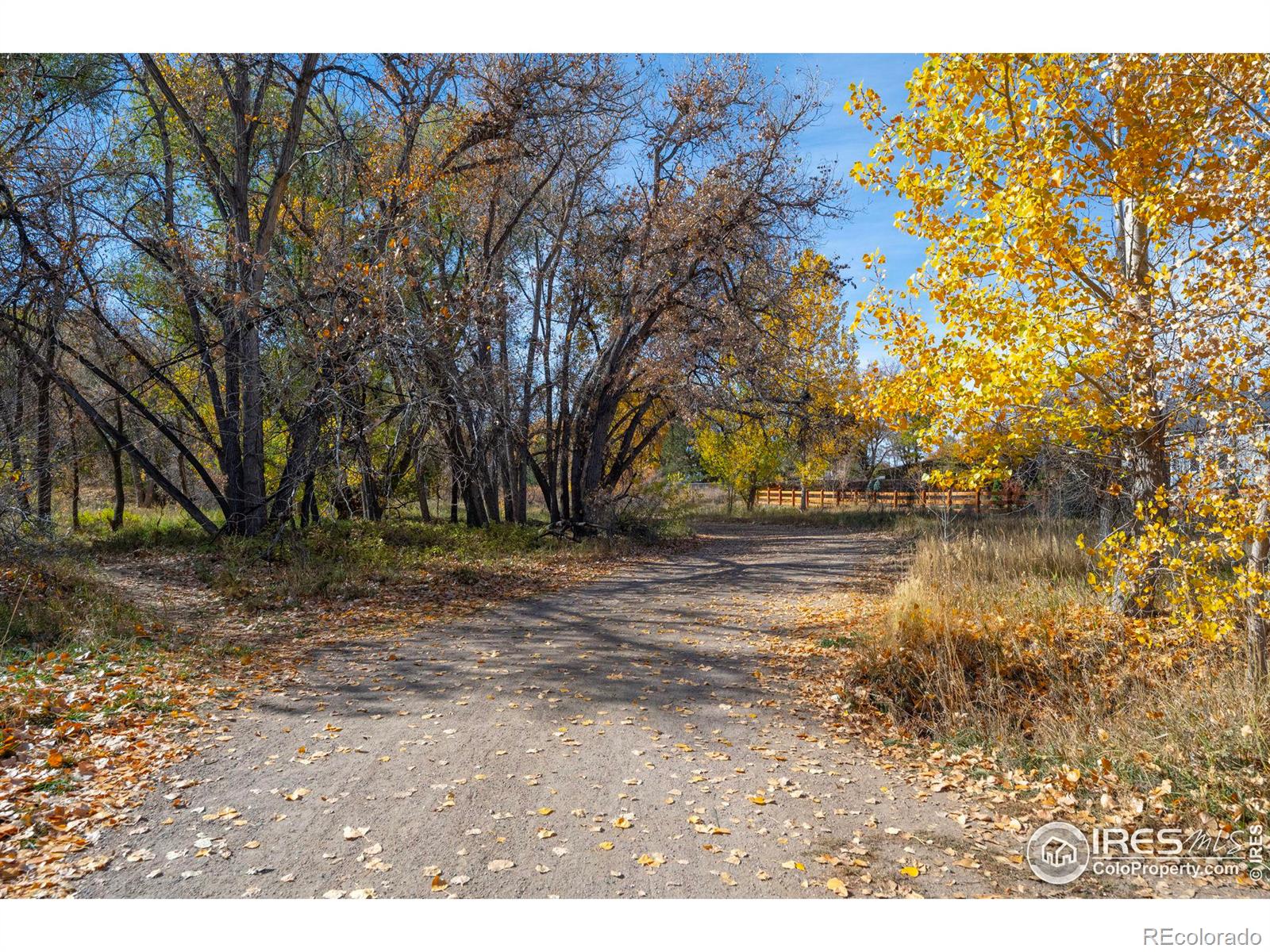 MLS Image #20 for 1111  elysian field drive,lafayette, Colorado