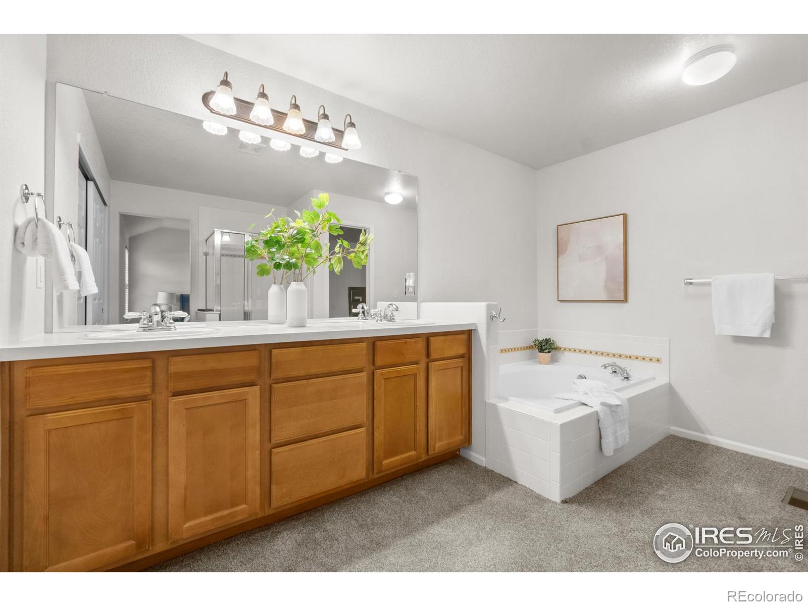 MLS Image #17 for 3017  new castle drive,loveland, Colorado