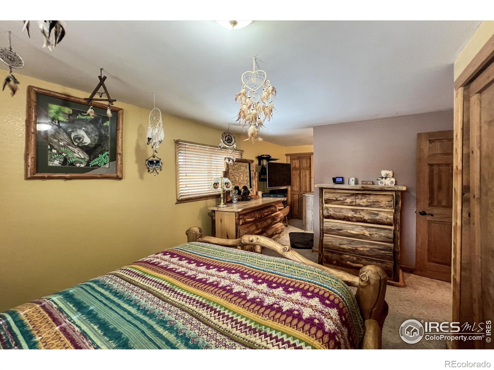 MLS Image #10 for 94  chetan court,red feather lakes, Colorado