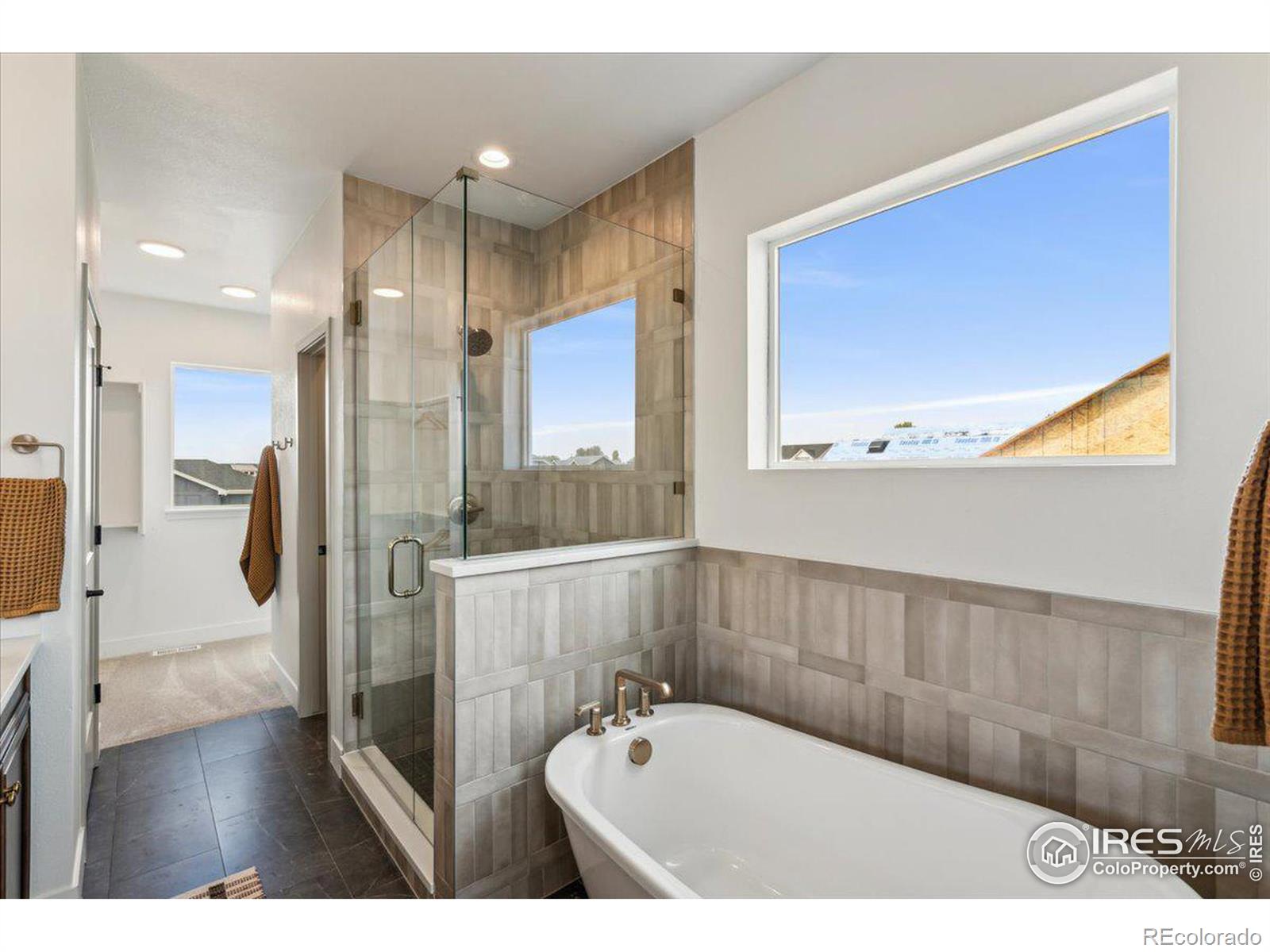 MLS Image #15 for 843  canoe birch drive,windsor, Colorado