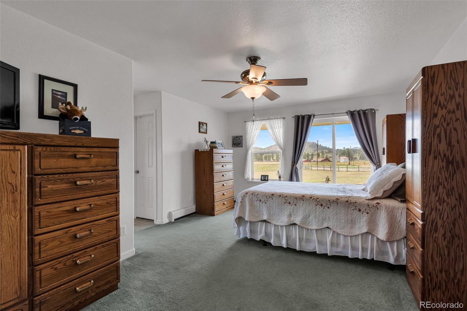 MLS Image #17 for 1138  22nd trail,cotopaxi, Colorado