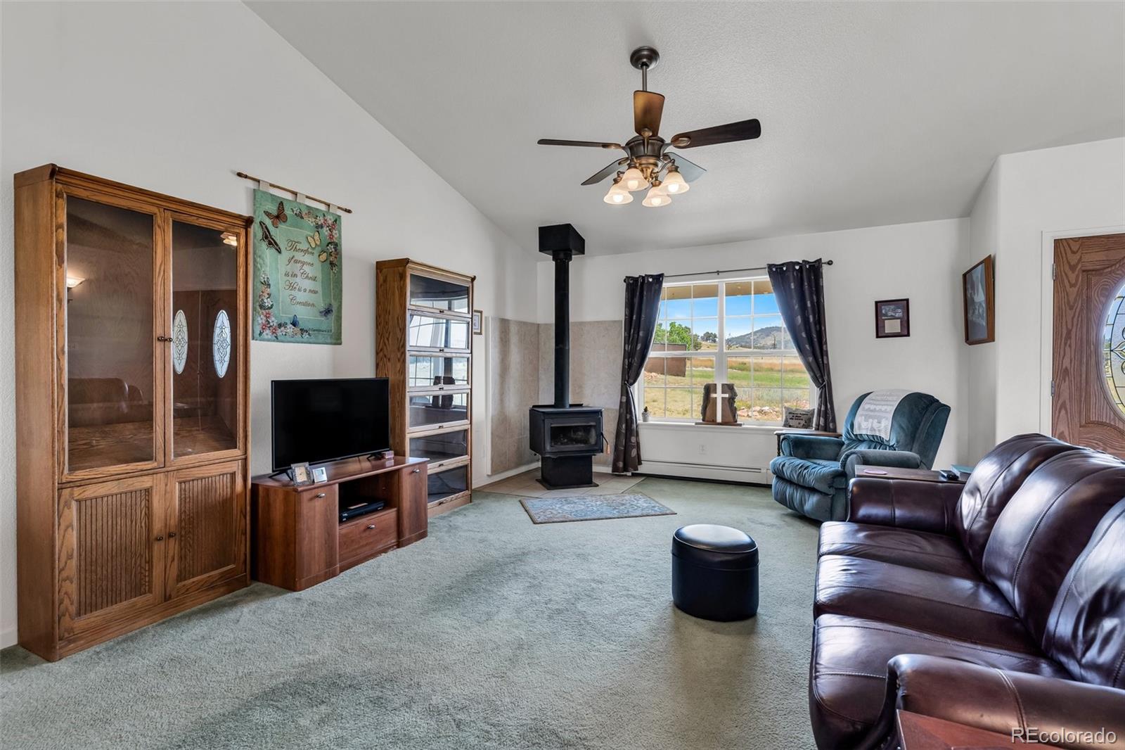 MLS Image #8 for 1138  22nd trail,cotopaxi, Colorado