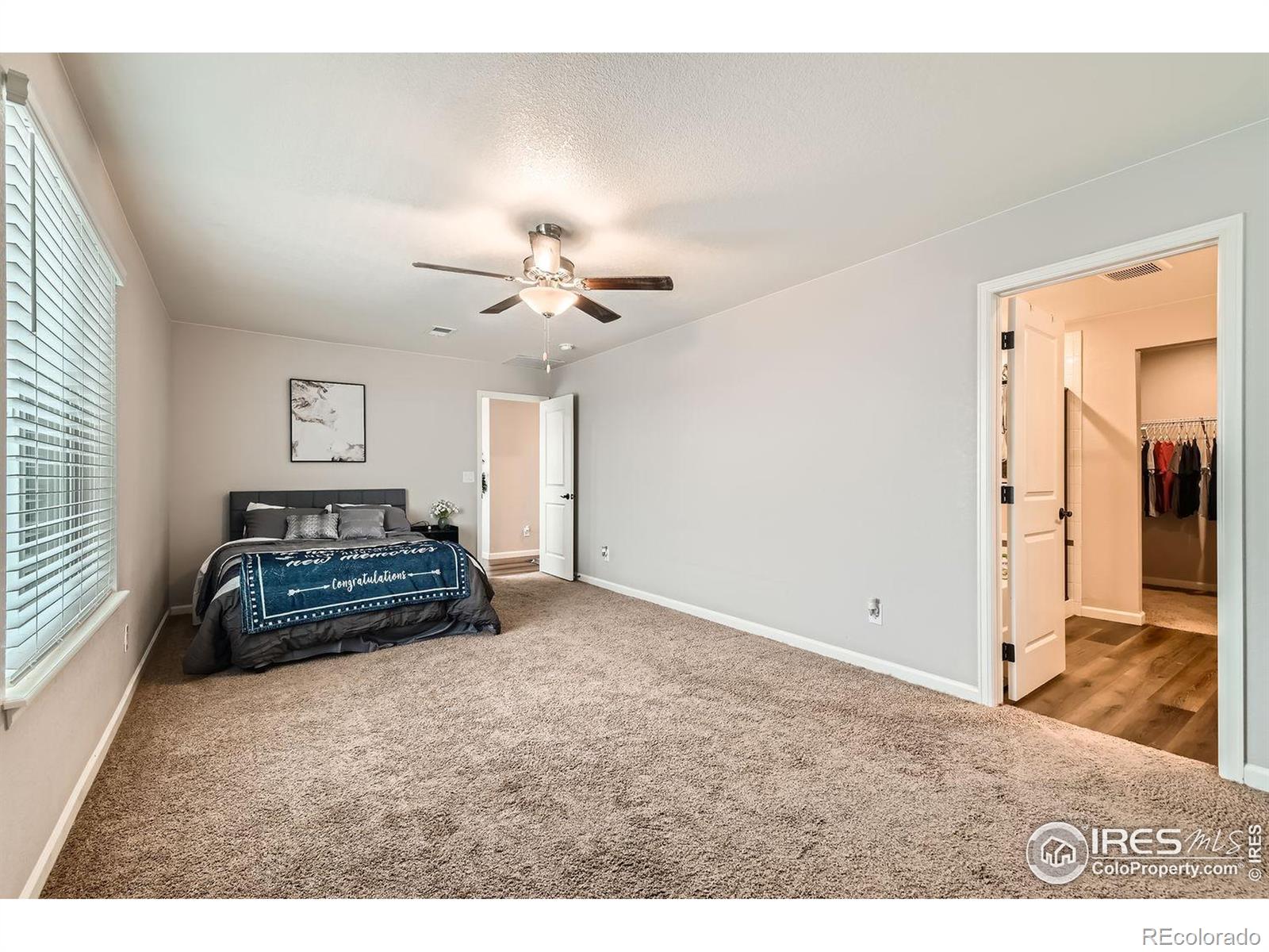 MLS Image #11 for 877  twining avenue,brighton, Colorado