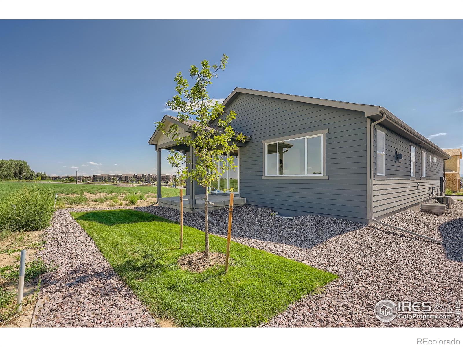 MLS Image #36 for 3574  royal troon avenue,fort collins, Colorado