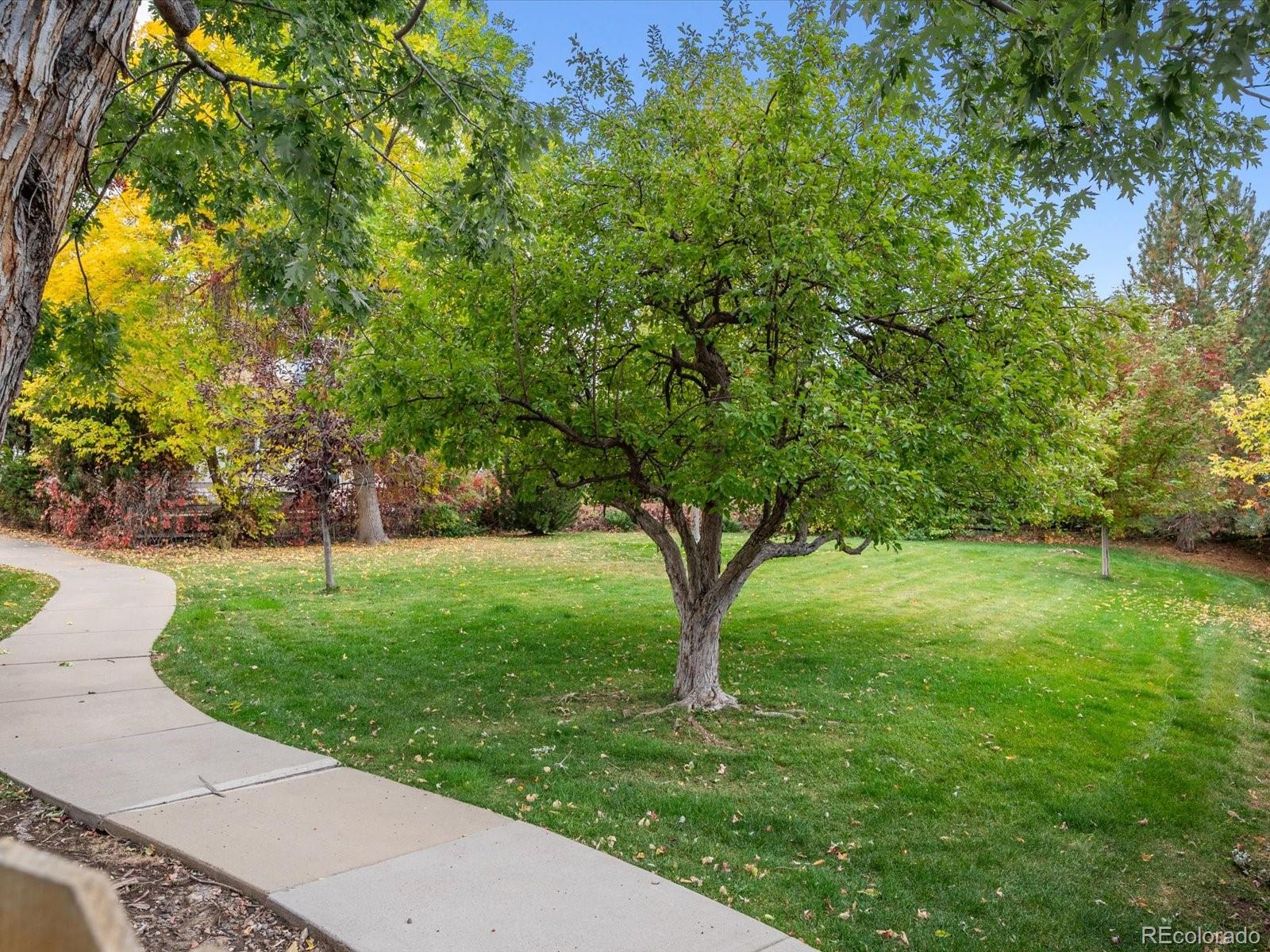 MLS Image #19 for 9052 w arizona drive,lakewood, Colorado