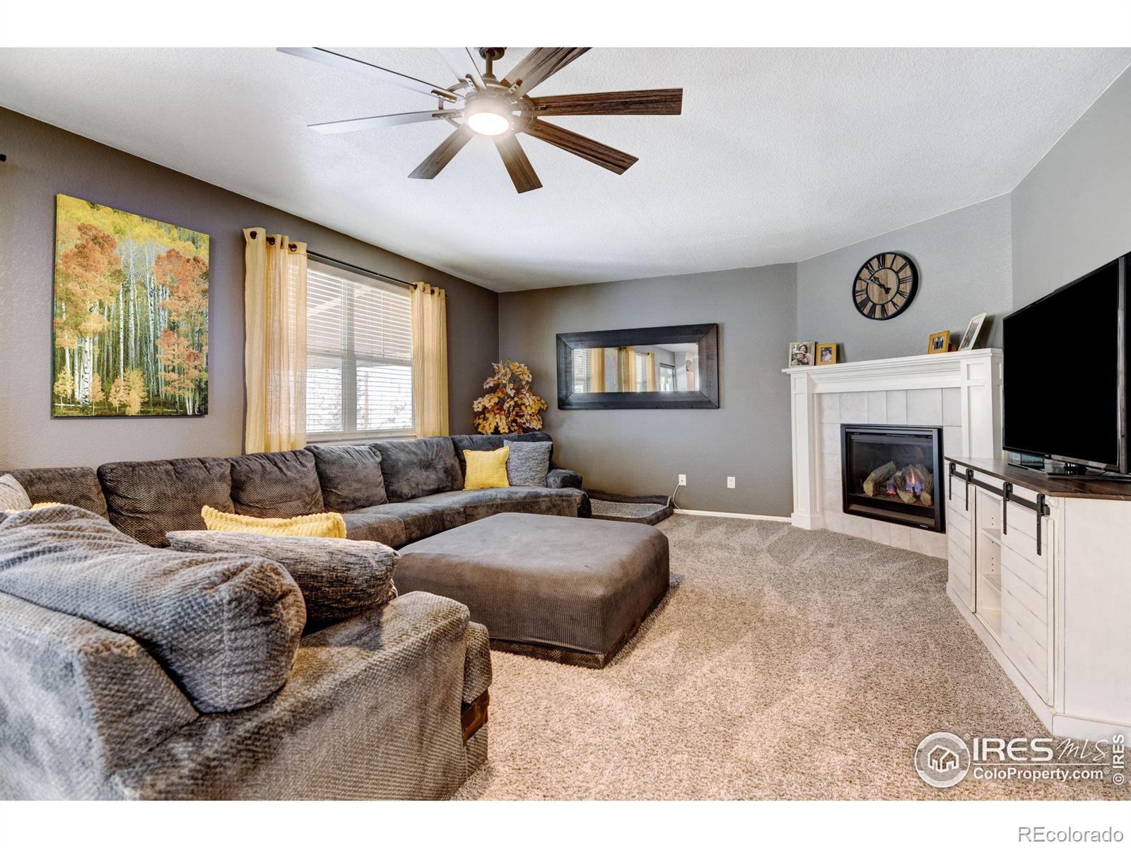 MLS Image #13 for 10052  briarwood street,firestone, Colorado