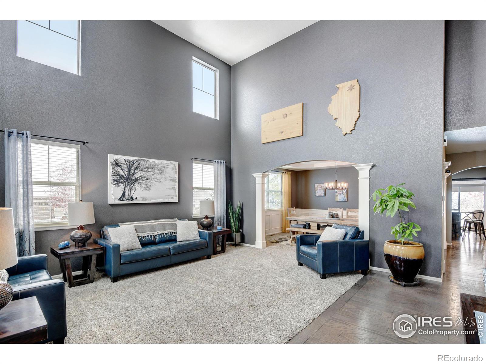 MLS Image #4 for 10052  briarwood street,firestone, Colorado