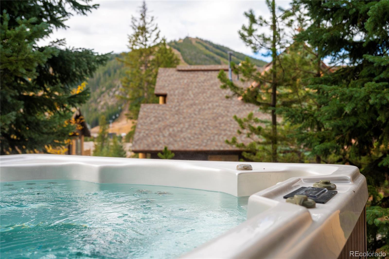 MLS Image #6 for 102  mountain lodge way,winter park, Colorado