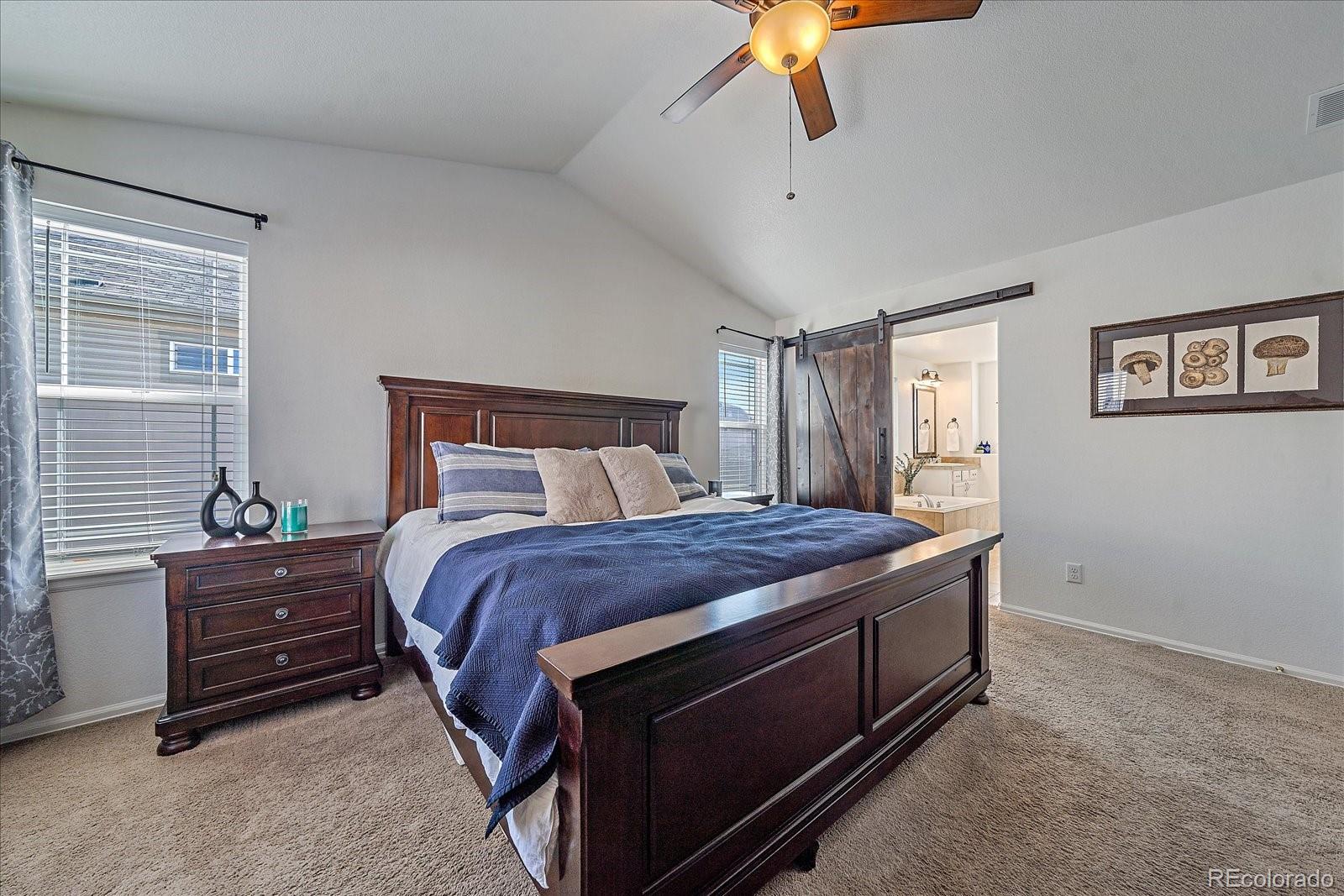 MLS Image #21 for 12939  norway maple street,parker, Colorado