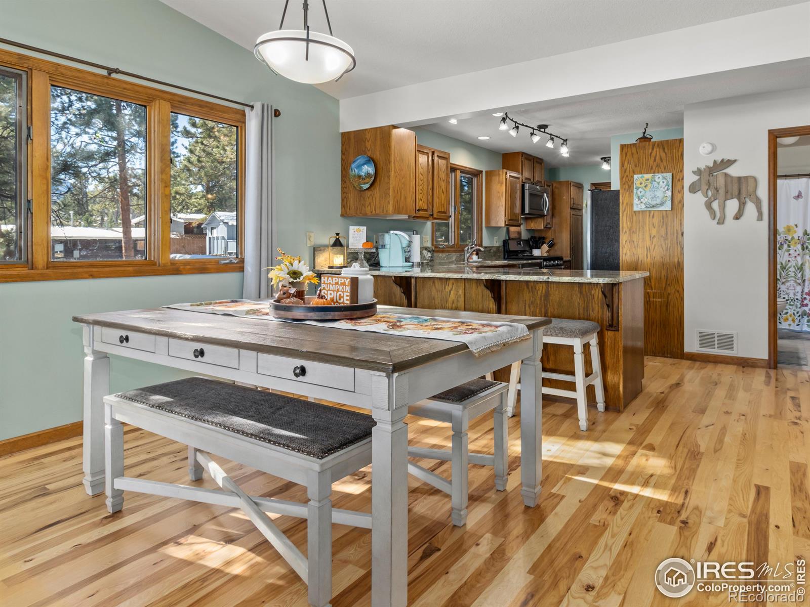 MLS Image #14 for 1172  fairway club lane,estes park, Colorado