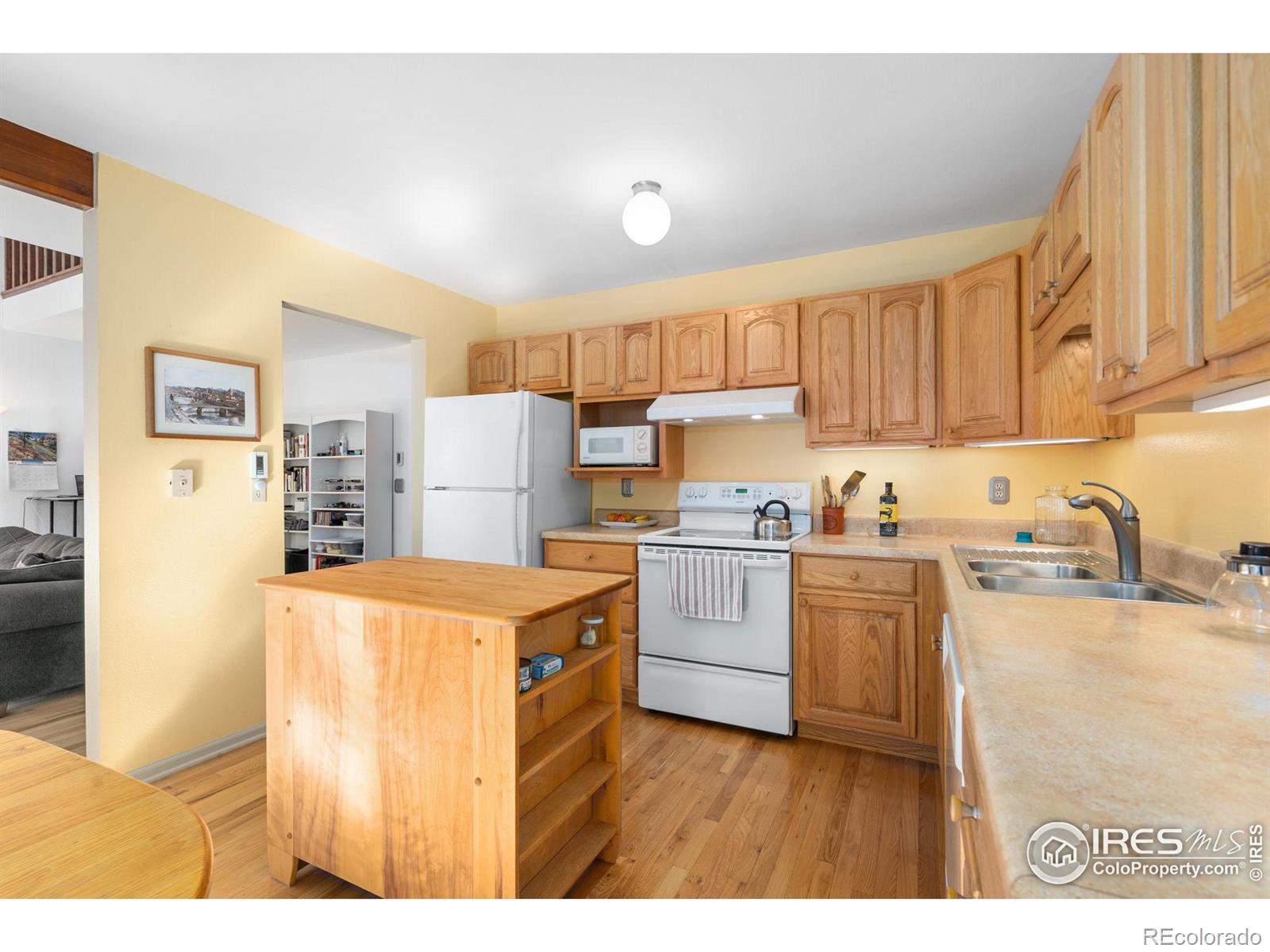 MLS Image #10 for 959  gilgalad way,fort collins, Colorado