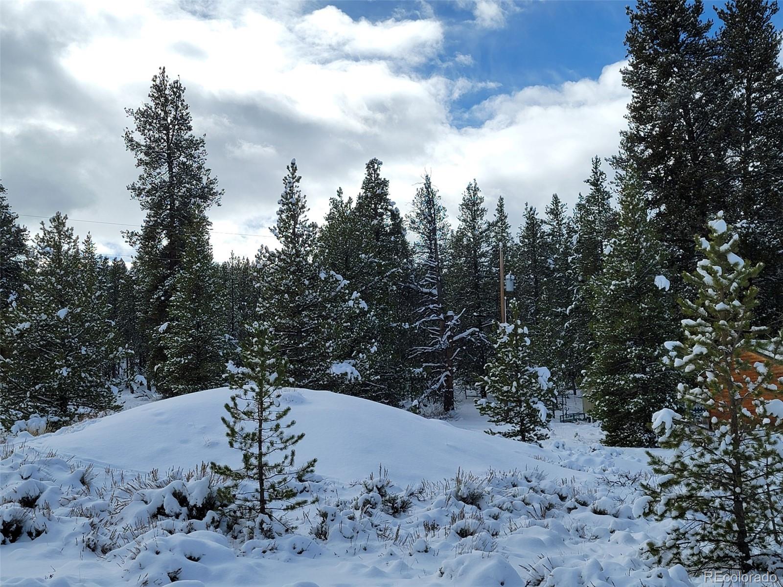 MLS Image #27 for 66  juniper drive,twin lakes, Colorado