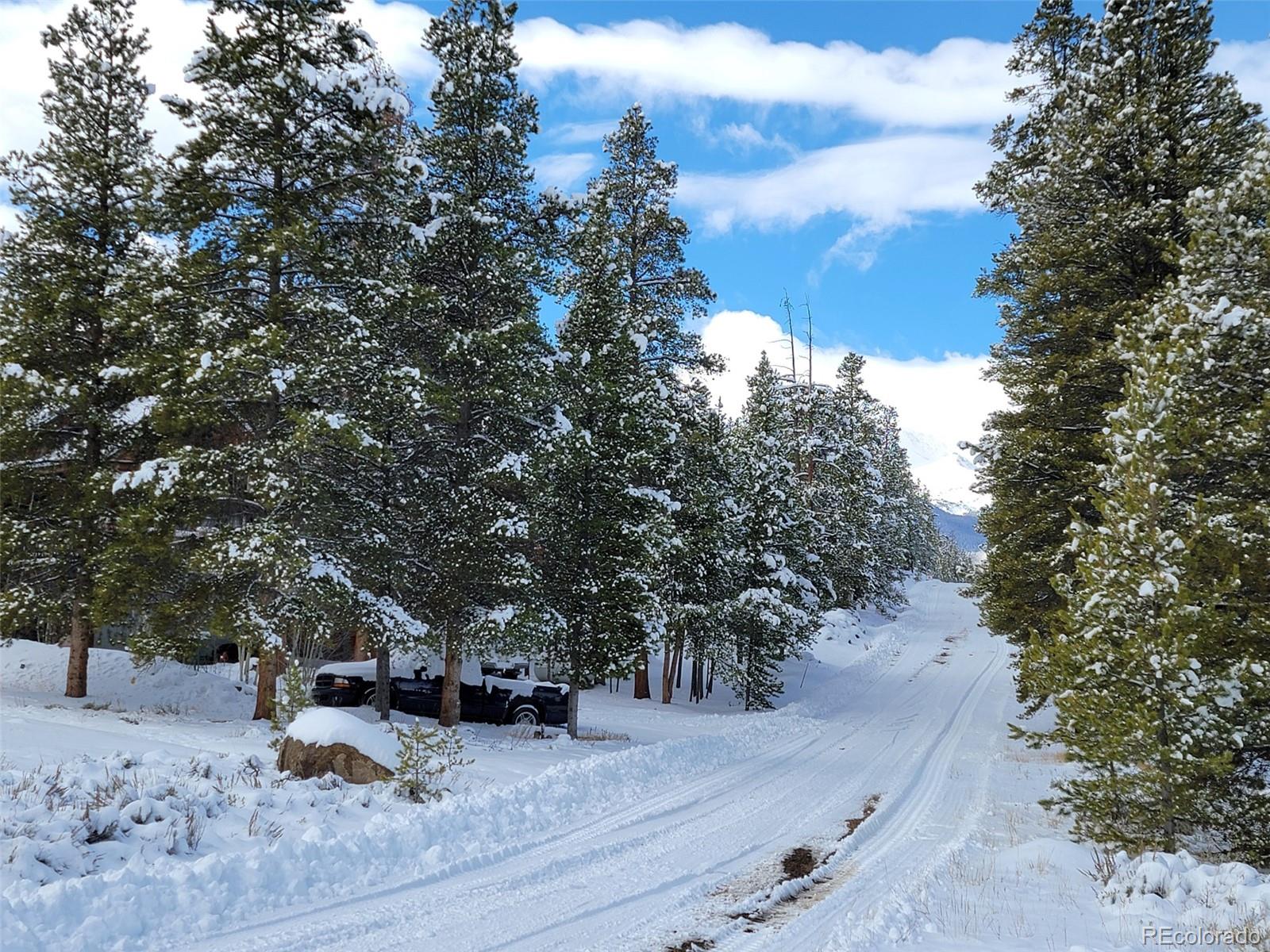 MLS Image #32 for 66  juniper drive,twin lakes, Colorado