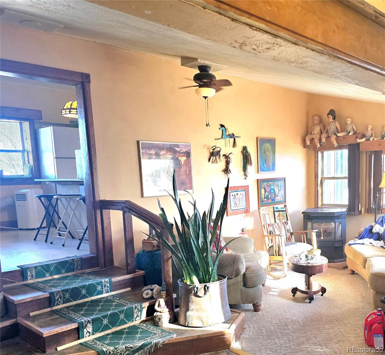 MLS Image #10 for 5385  henry street,mosca, Colorado