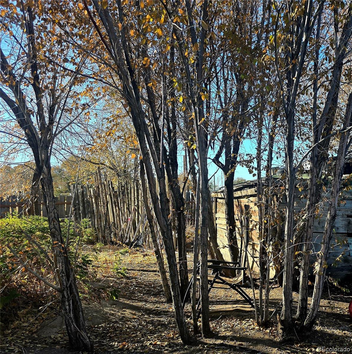 MLS Image #29 for 5385  henry street,mosca, Colorado