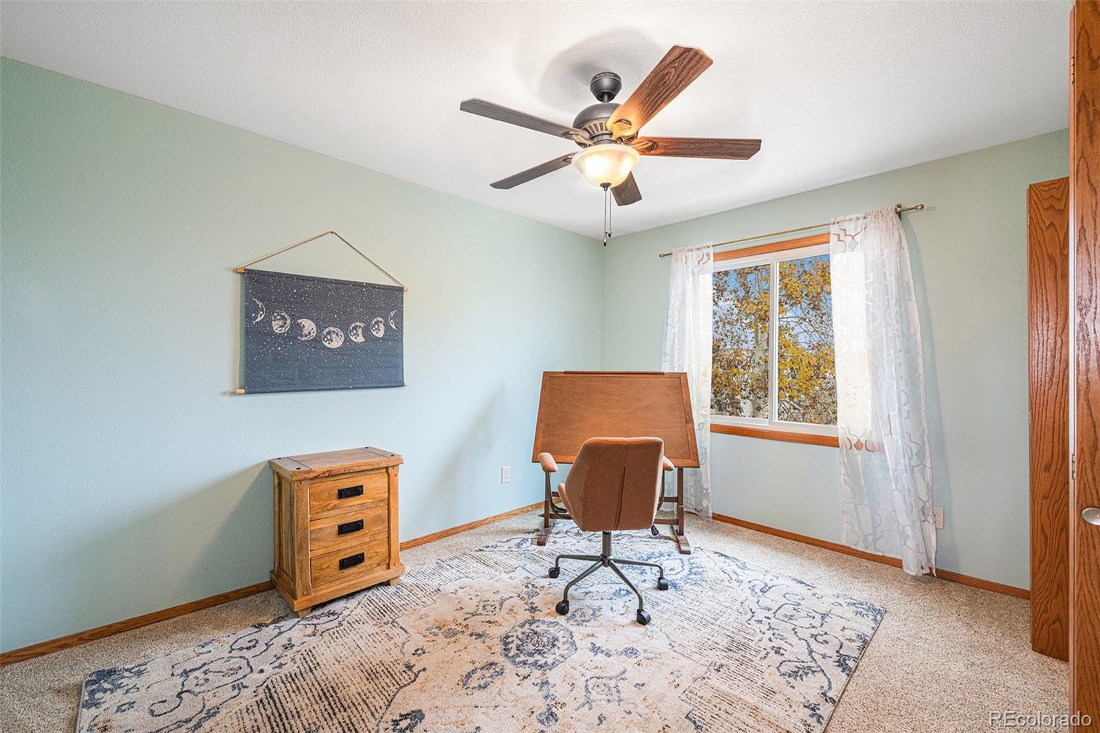 MLS Image #22 for 1023 w 45th street,loveland, Colorado