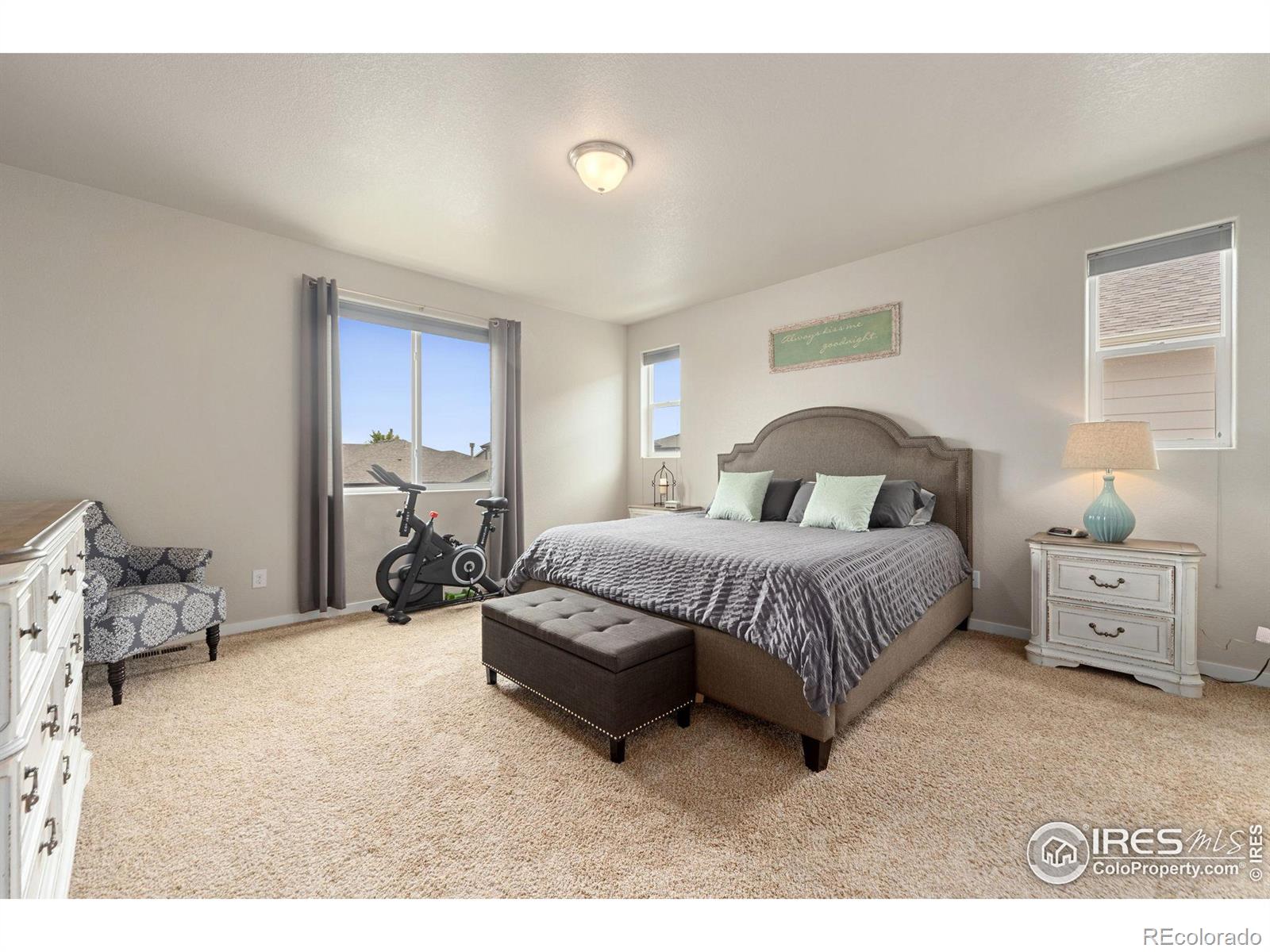 MLS Image #15 for 5345  clarence drive,windsor, Colorado