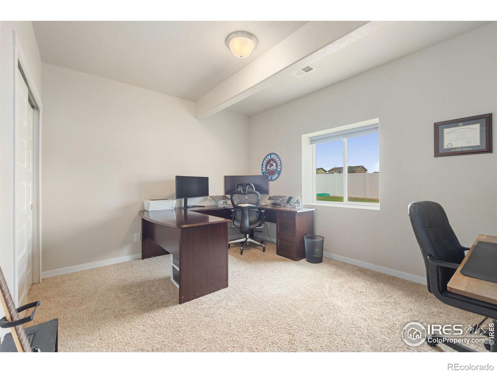 MLS Image #32 for 5345  clarence drive,windsor, Colorado