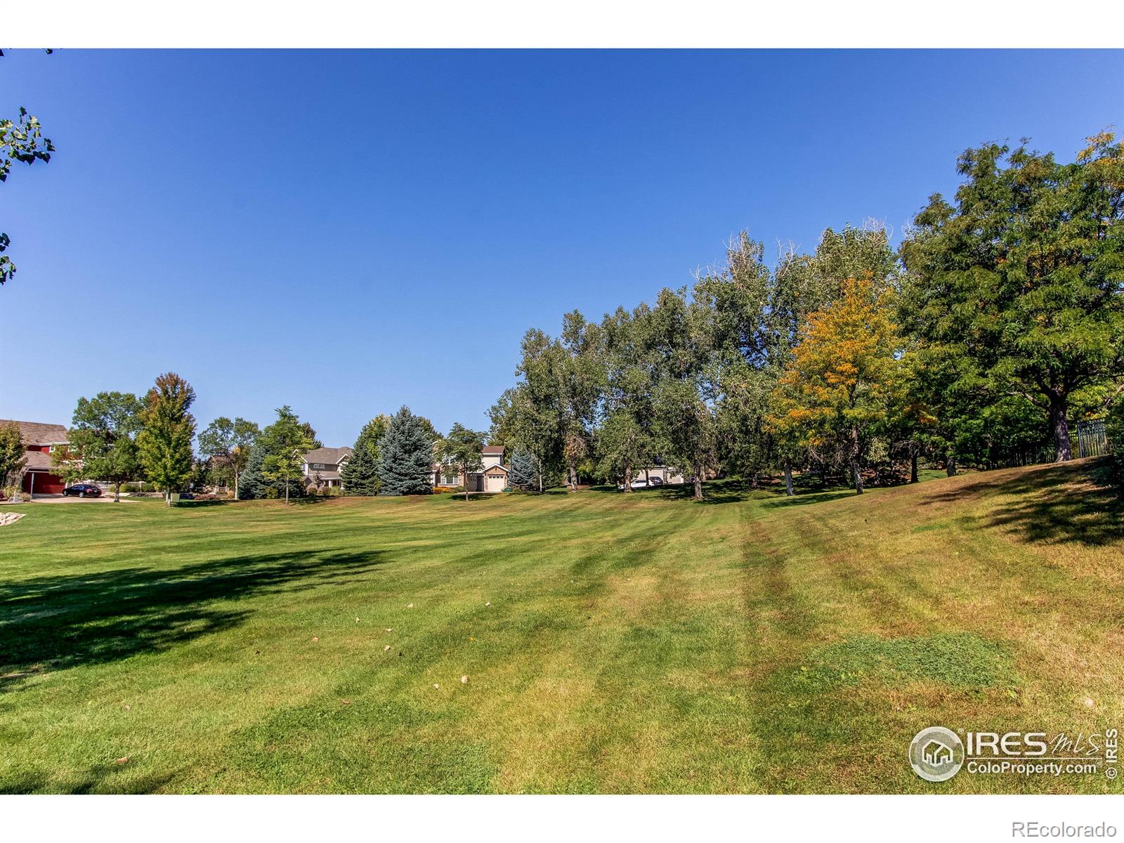 MLS Image #31 for 13900  lake song lane,broomfield, Colorado