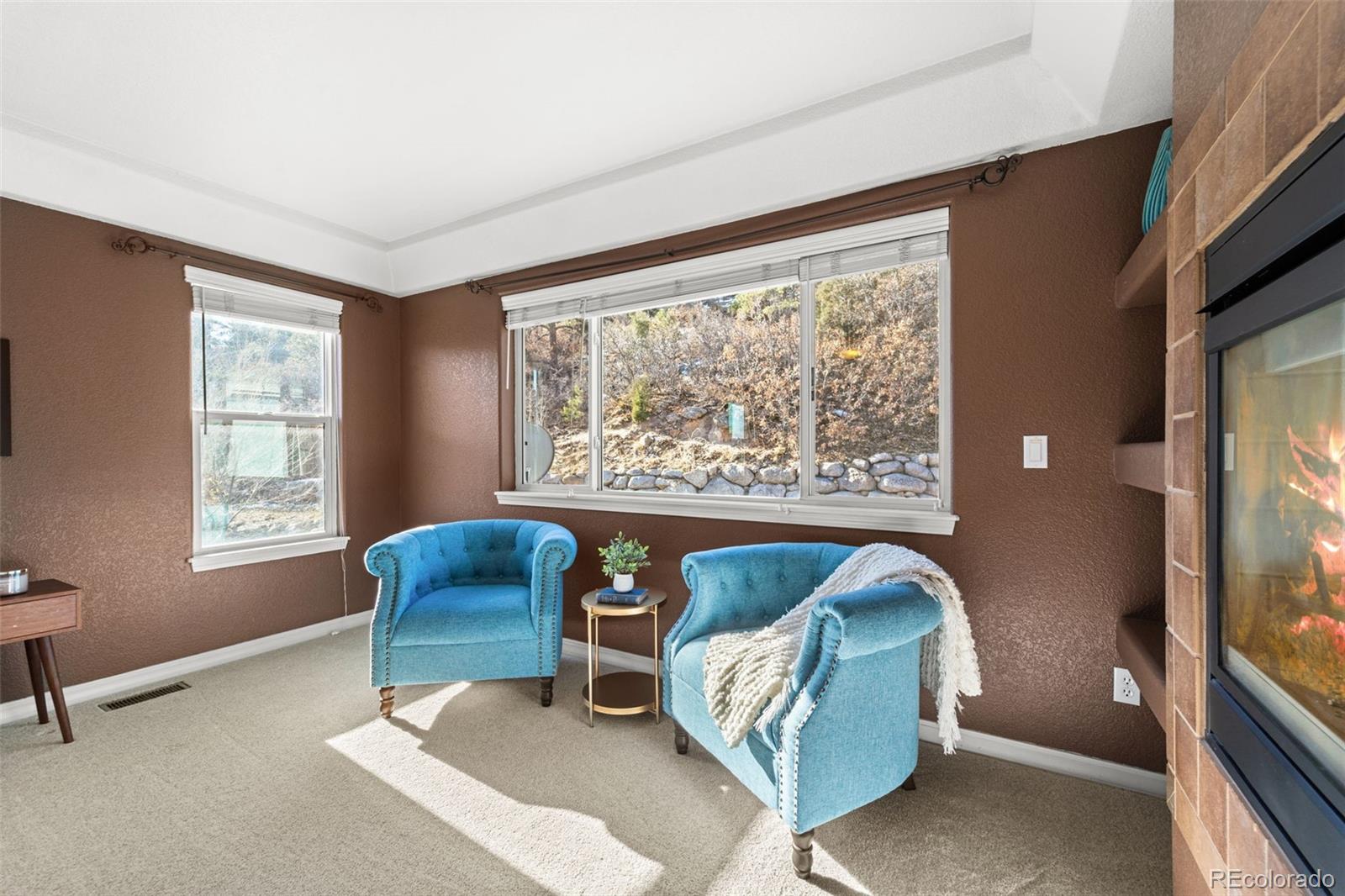 MLS Image #18 for 2268  palm drive,colorado springs, Colorado