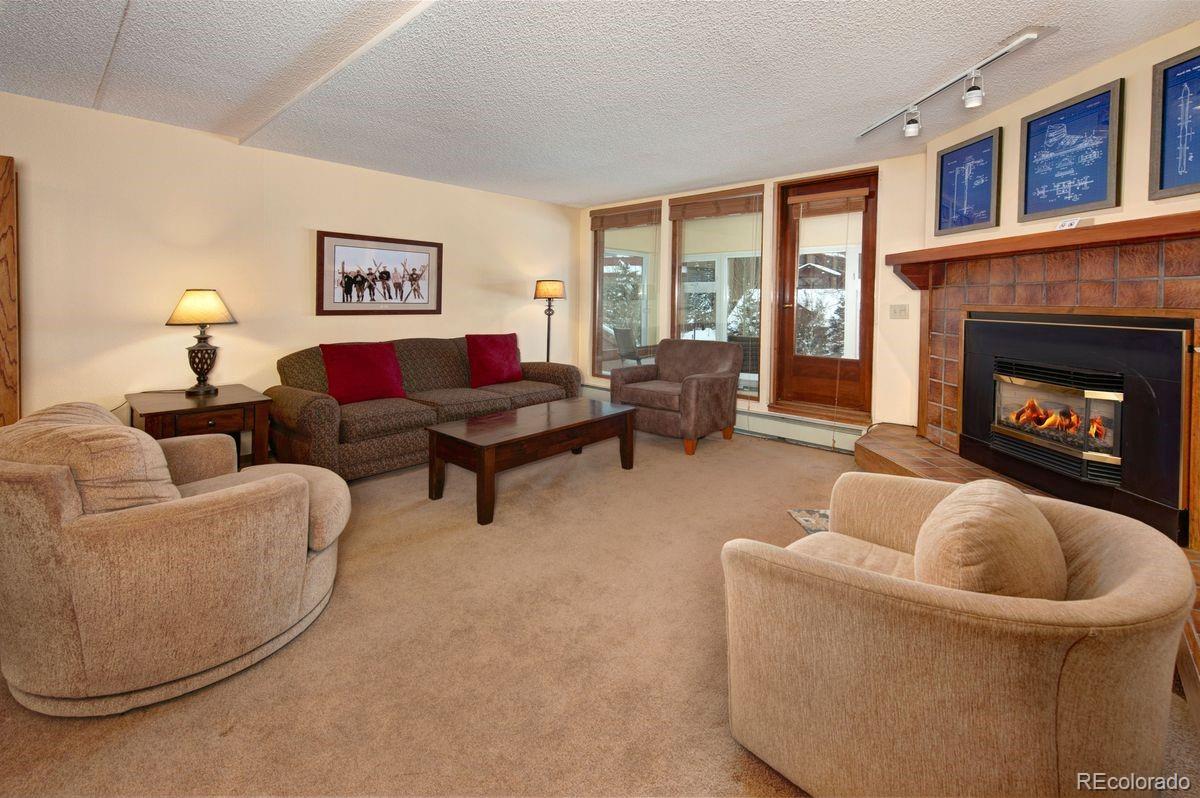 MLS Image #10 for 800  copper road,frisco, Colorado