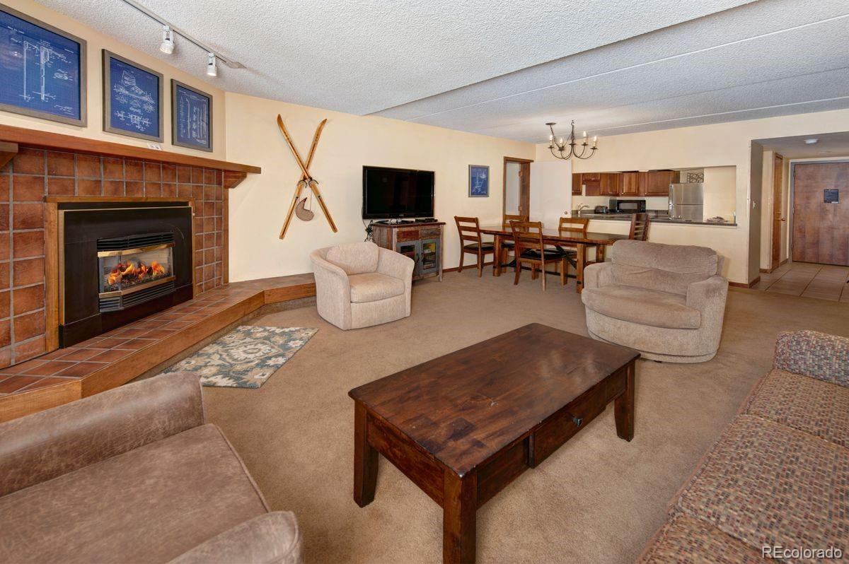 MLS Image #12 for 800  copper road,frisco, Colorado