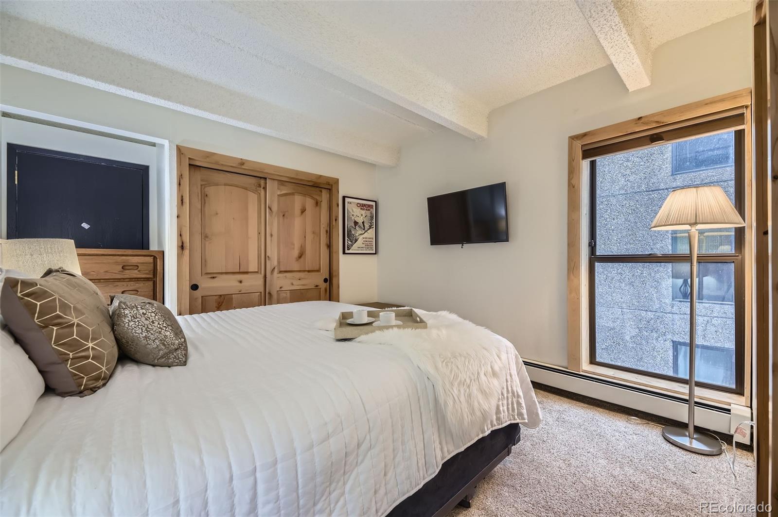 MLS Image #12 for 165  wheeler place,frisco, Colorado