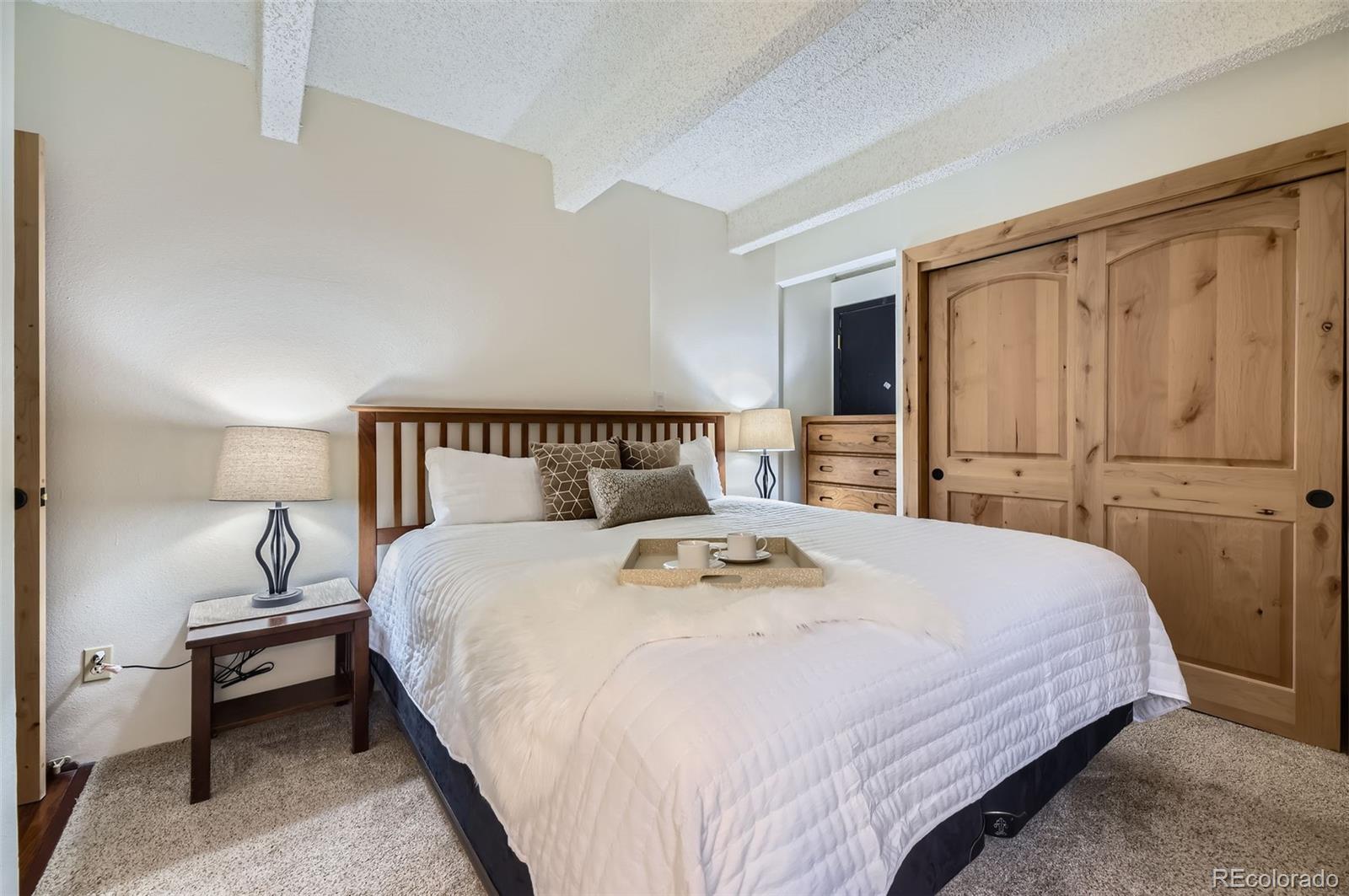 MLS Image #13 for 165  wheeler place,frisco, Colorado