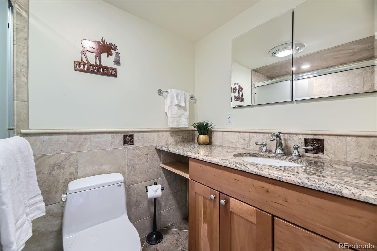 MLS Image #15 for 165  wheeler place,frisco, Colorado