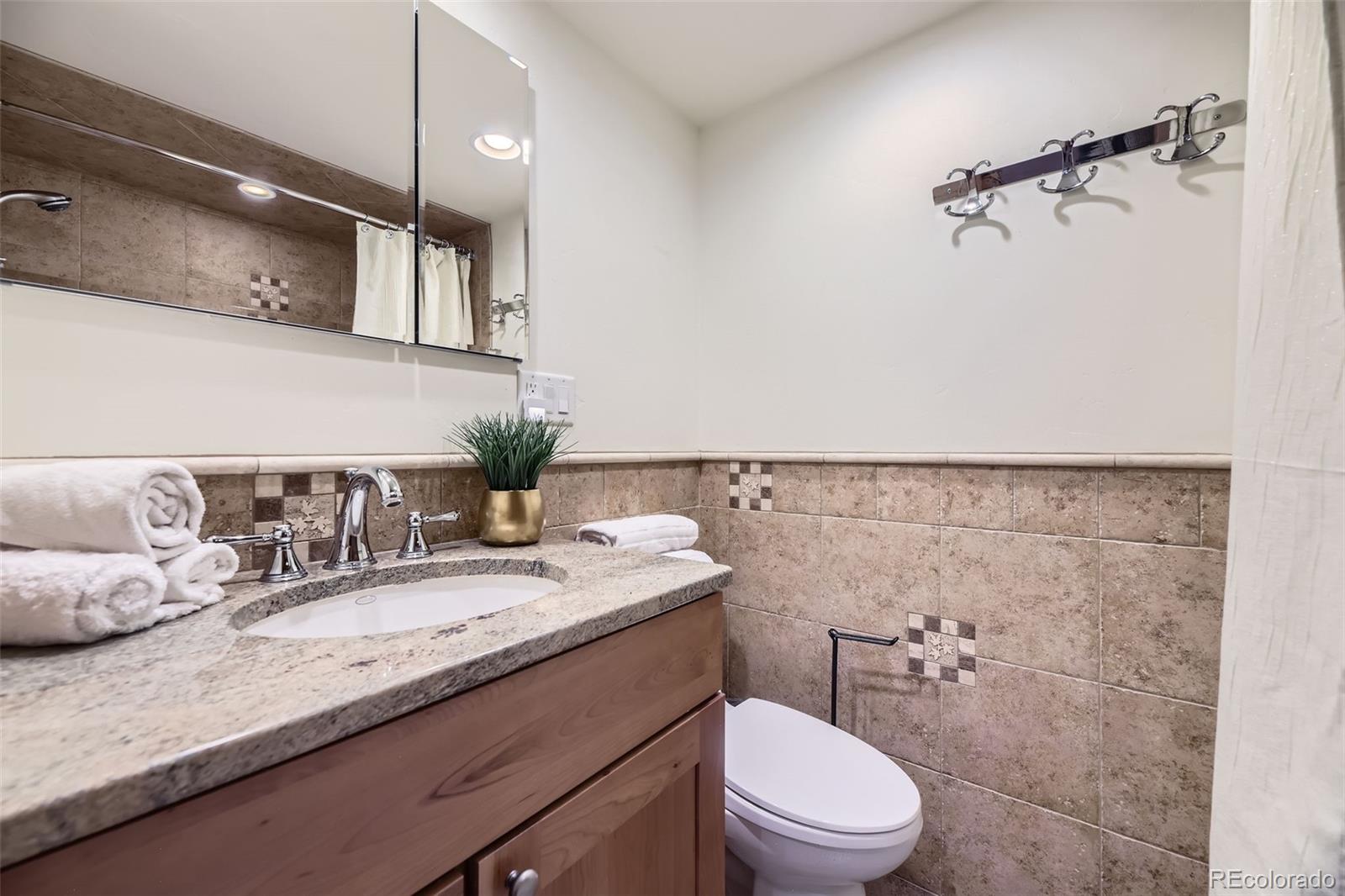 MLS Image #21 for 165  wheeler place,frisco, Colorado