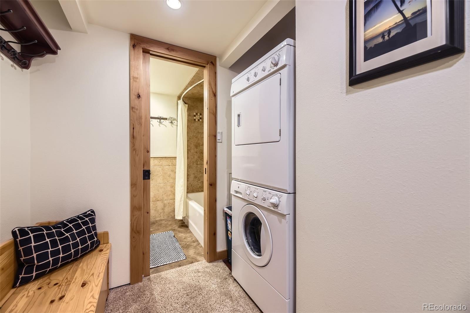 MLS Image #22 for 165  wheeler place,frisco, Colorado