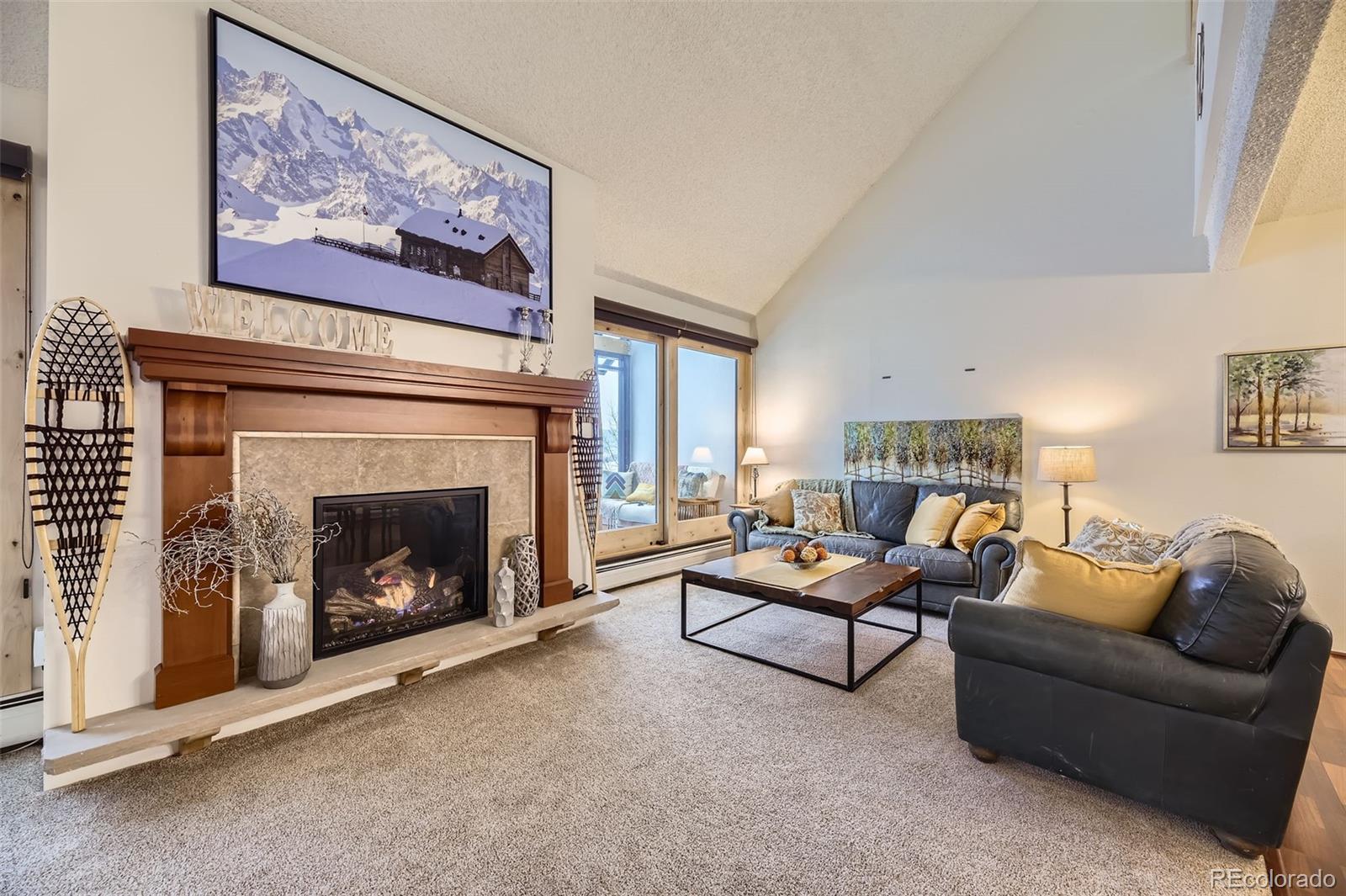 MLS Image #3 for 165  wheeler place,frisco, Colorado