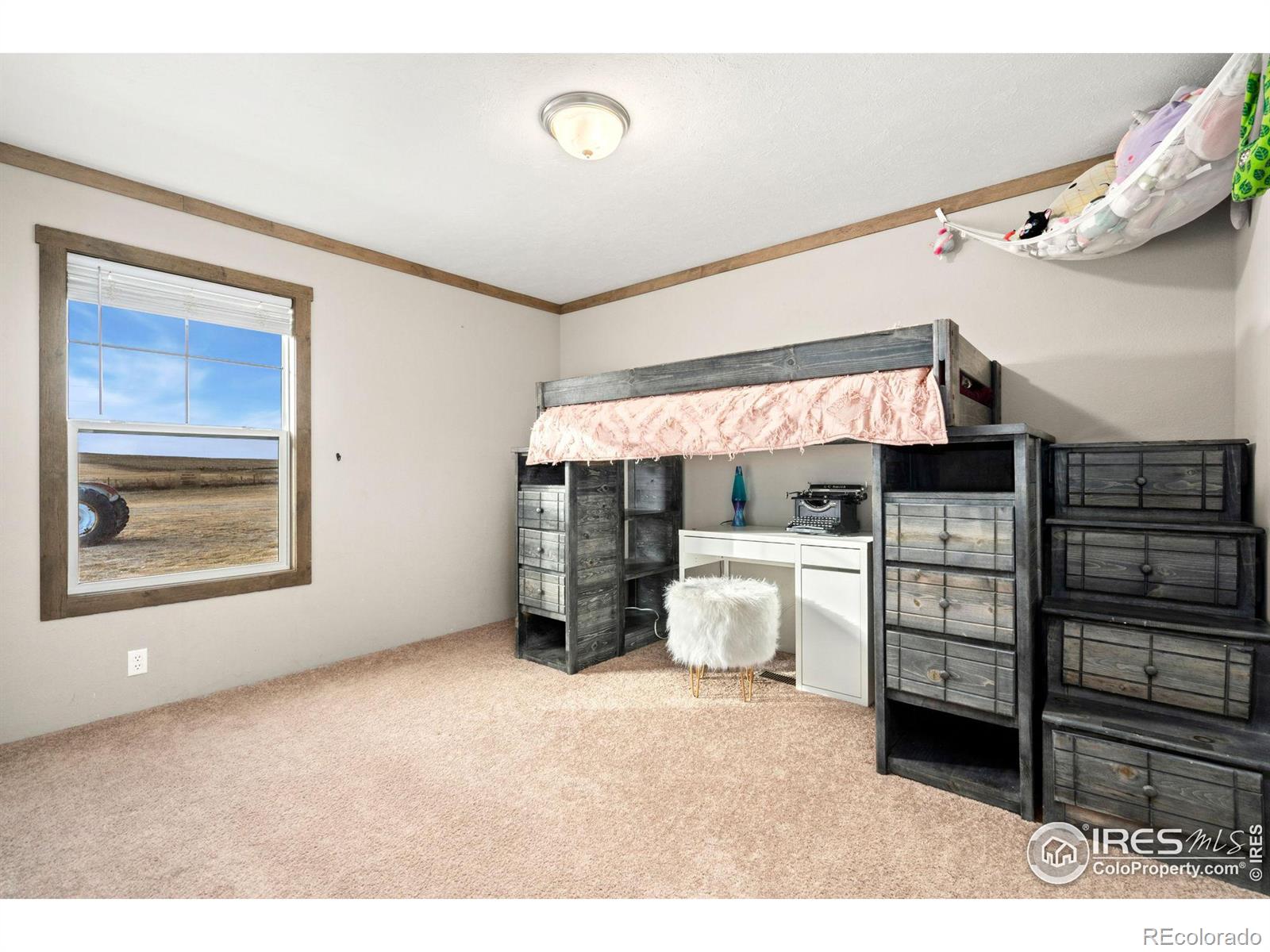 MLS Image #12 for 53992  county road 53 ,ault, Colorado