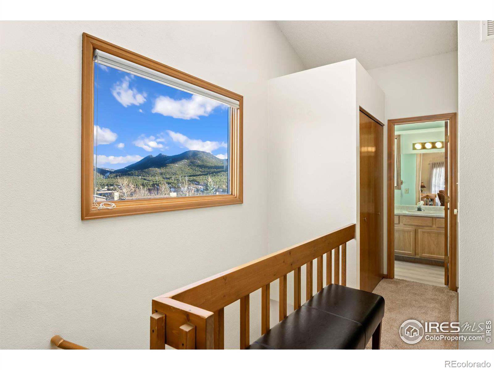 MLS Image #8 for 514  grand estates drive,estes park, Colorado