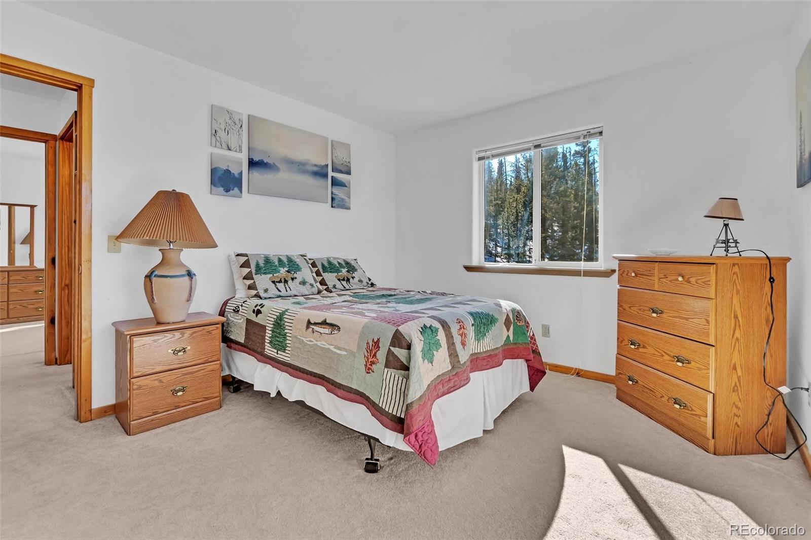 MLS Image #13 for 2478  longbow drive,jefferson, Colorado