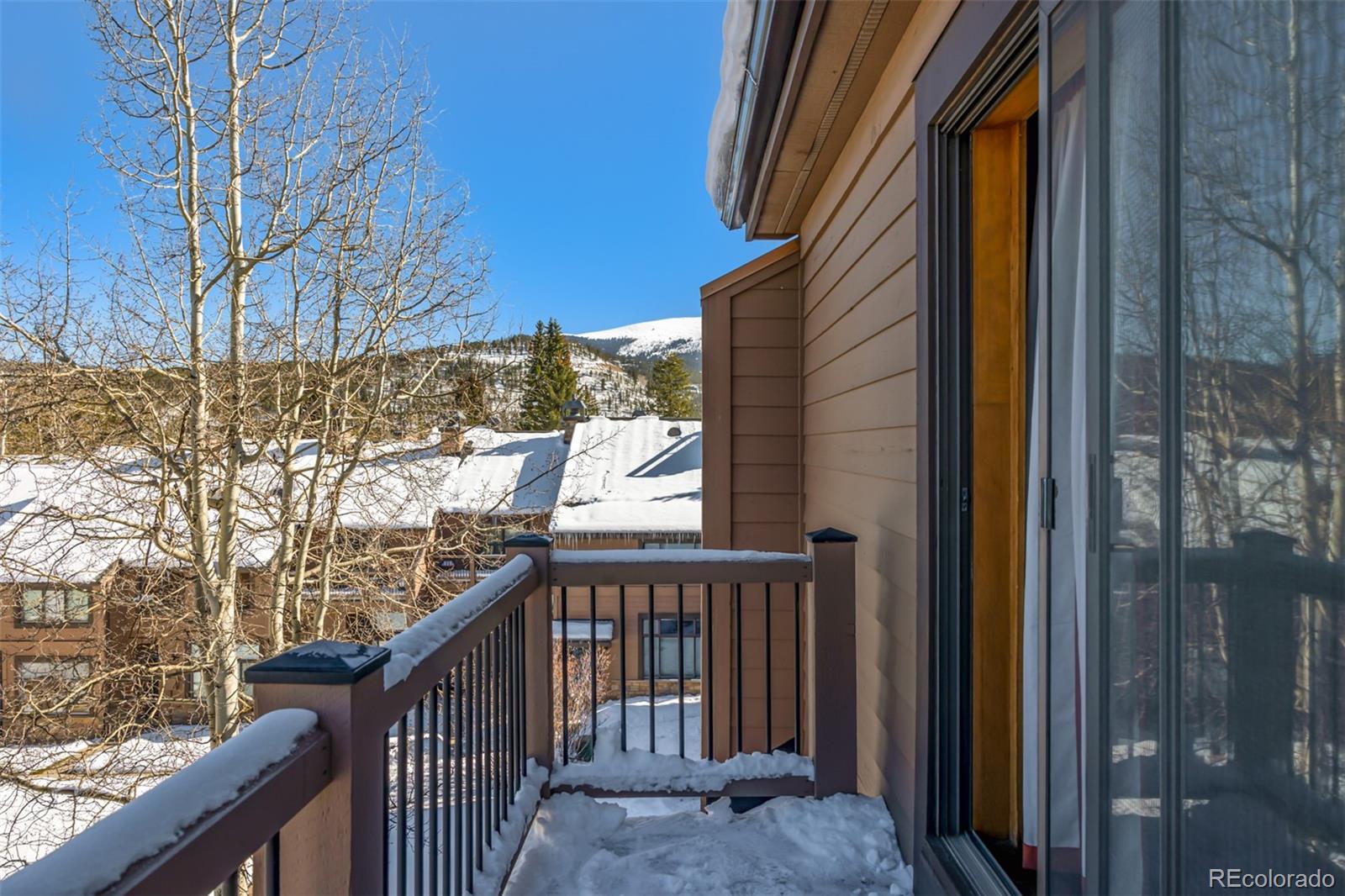 MLS Image #30 for 505  village road,breckenridge, Colorado