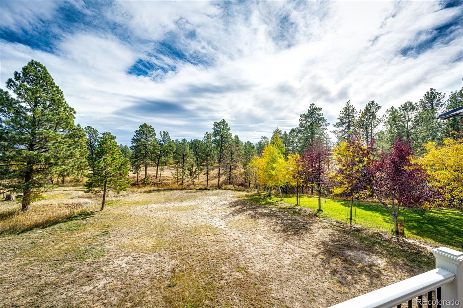 MLS Image #4 for 1312  gambel oaks drive,elizabeth, Colorado