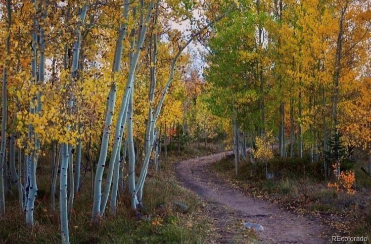 MLS Image #13 for 4400  lodgepole circle,silverthorne, Colorado