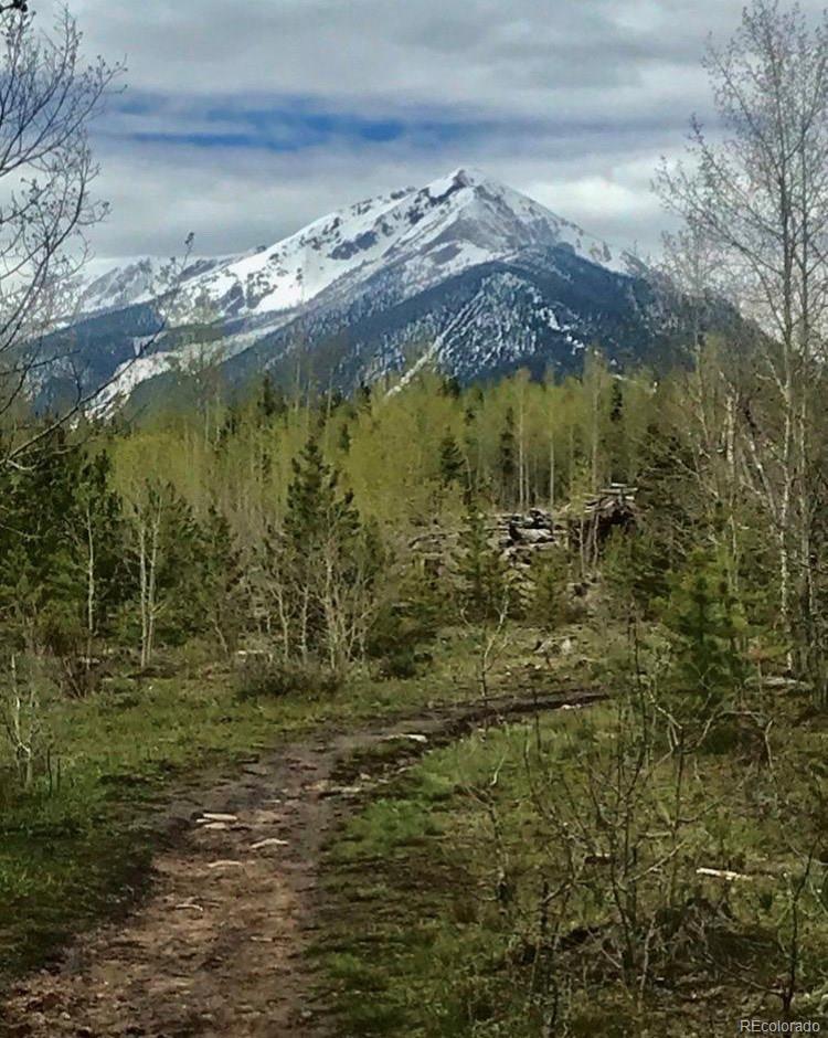 MLS Image #20 for 4400  lodgepole circle,silverthorne, Colorado