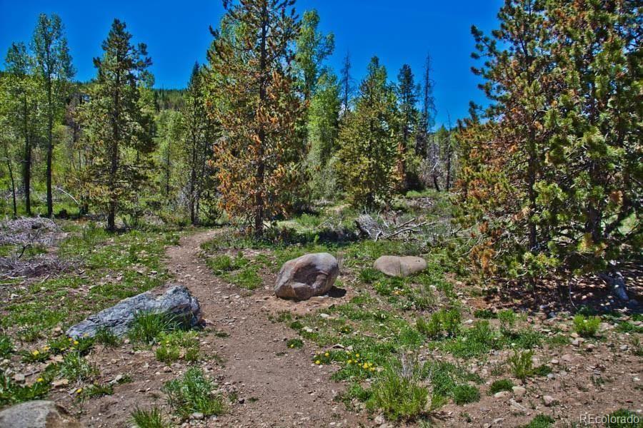 MLS Image #22 for 4400  lodgepole circle,silverthorne, Colorado