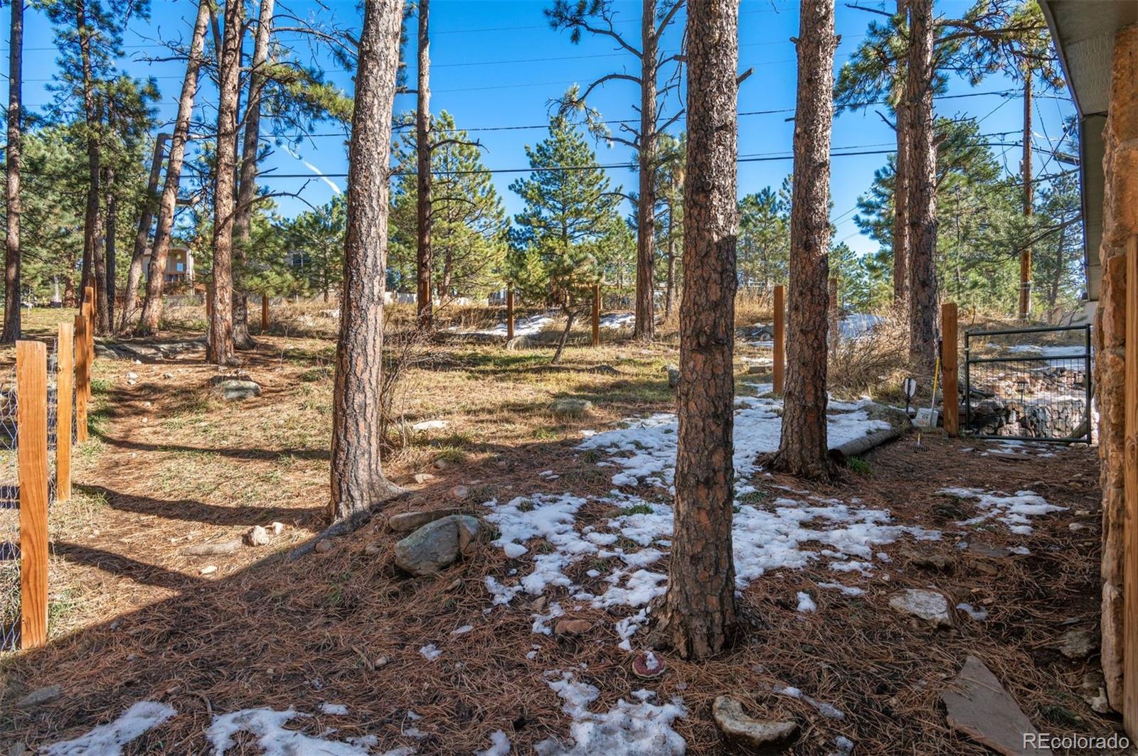 MLS Image #37 for 3917  ponderosa drive,evergreen, Colorado