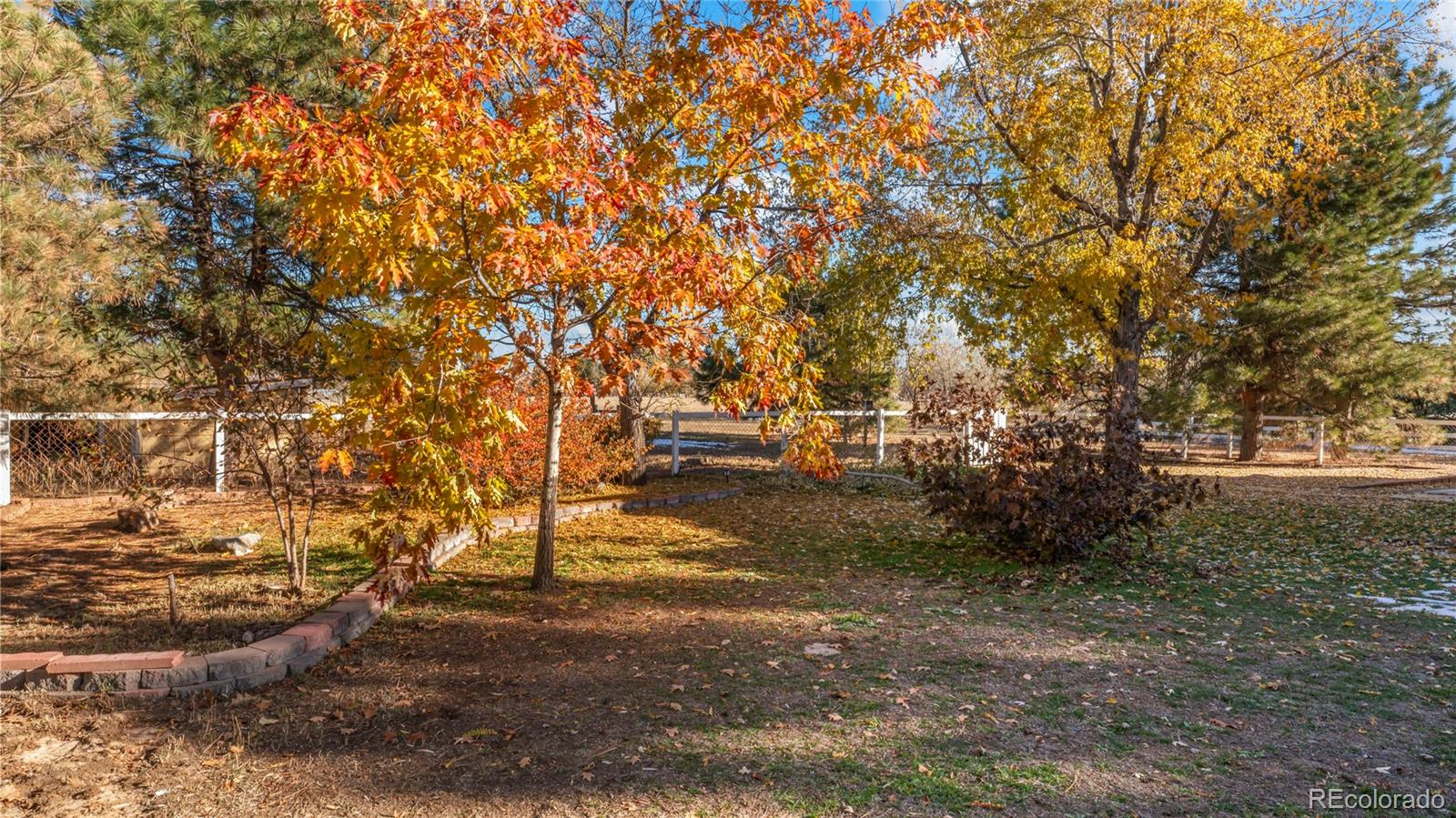 MLS Image #25 for 14570  zuni street,broomfield, Colorado