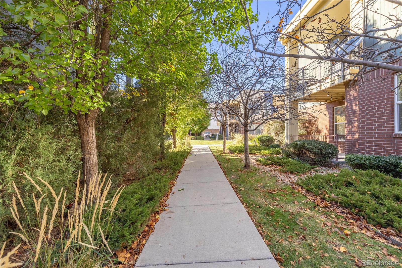 MLS Image #39 for 11213  colony circle ,broomfield, Colorado