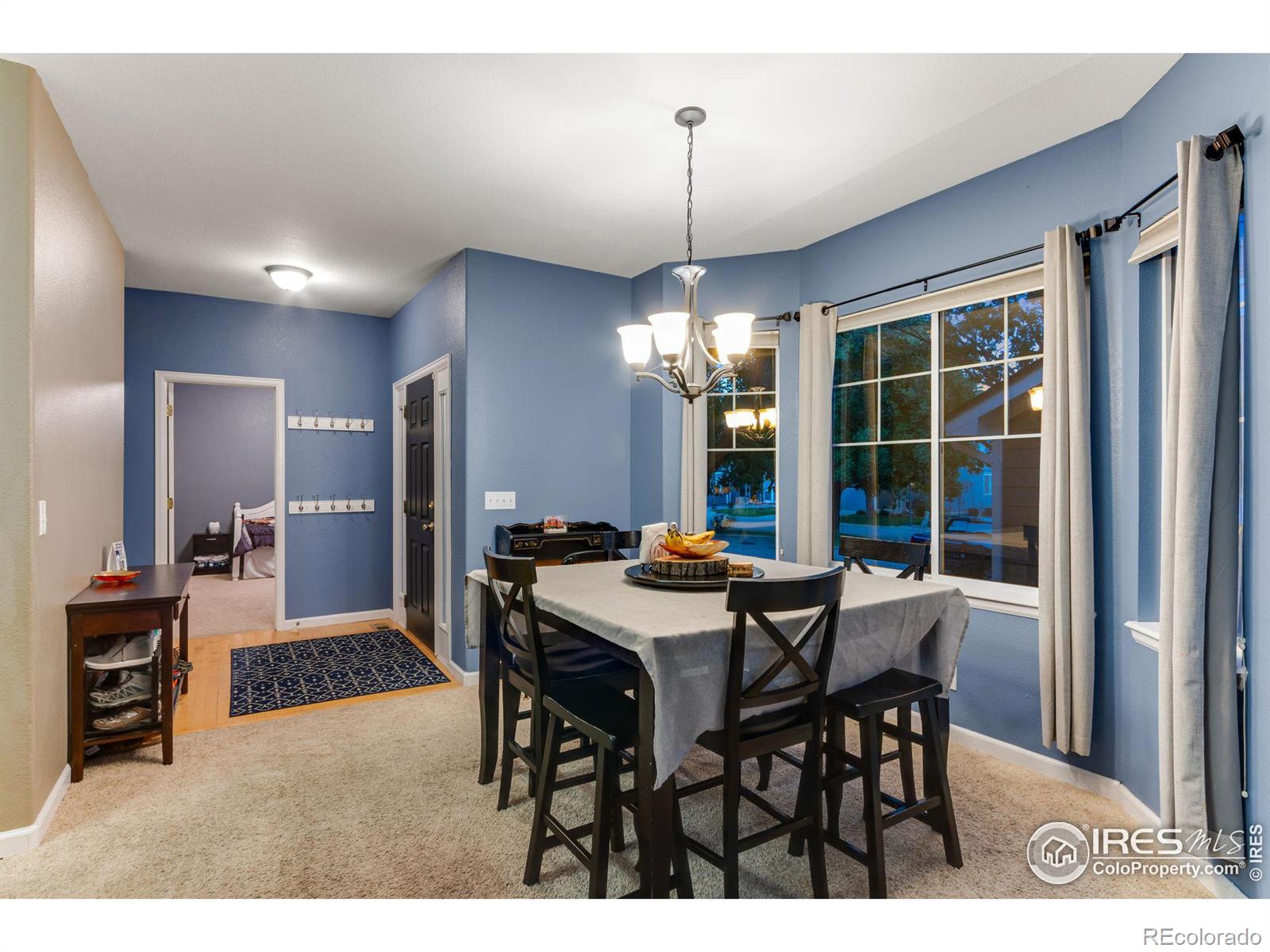 MLS Image #9 for 1857  idalia court,loveland, Colorado