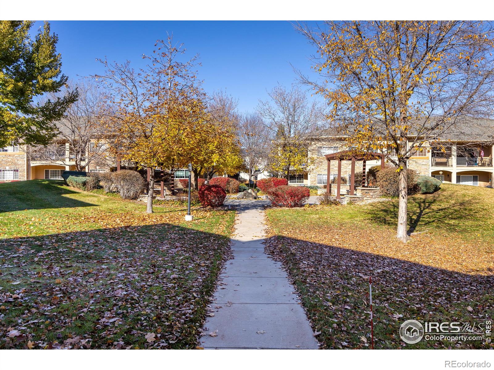 MLS Image #24 for 1703  whitehall drive,longmont, Colorado