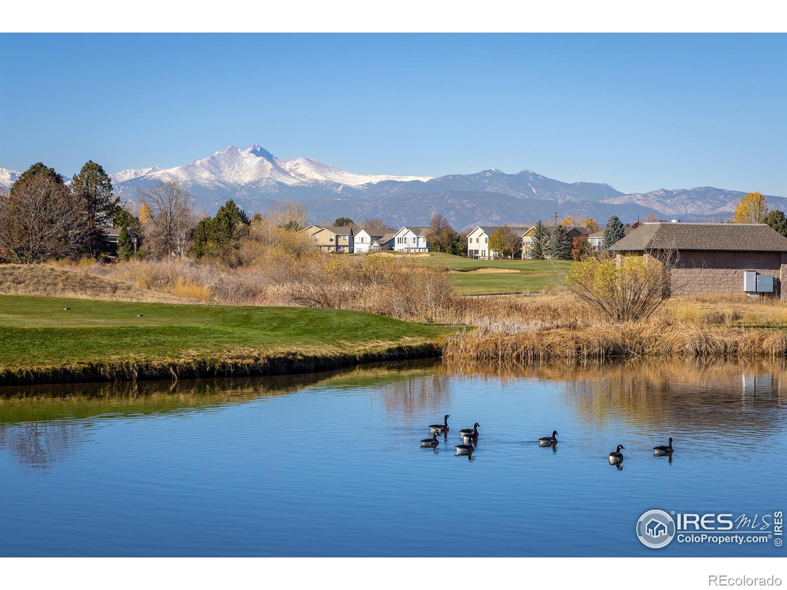 MLS Image #26 for 1703  whitehall drive,longmont, Colorado