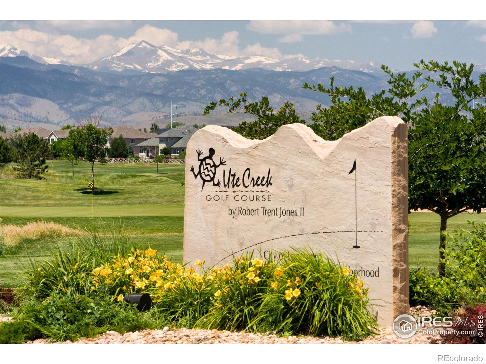 MLS Image #28 for 1703  whitehall drive,longmont, Colorado