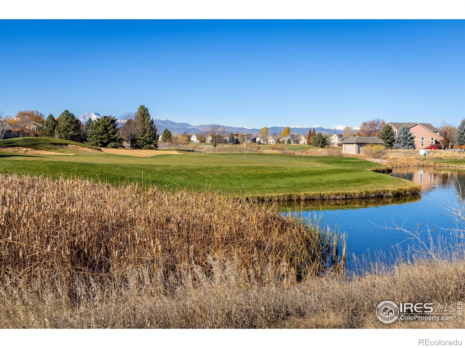 MLS Image #29 for 1703  whitehall drive,longmont, Colorado