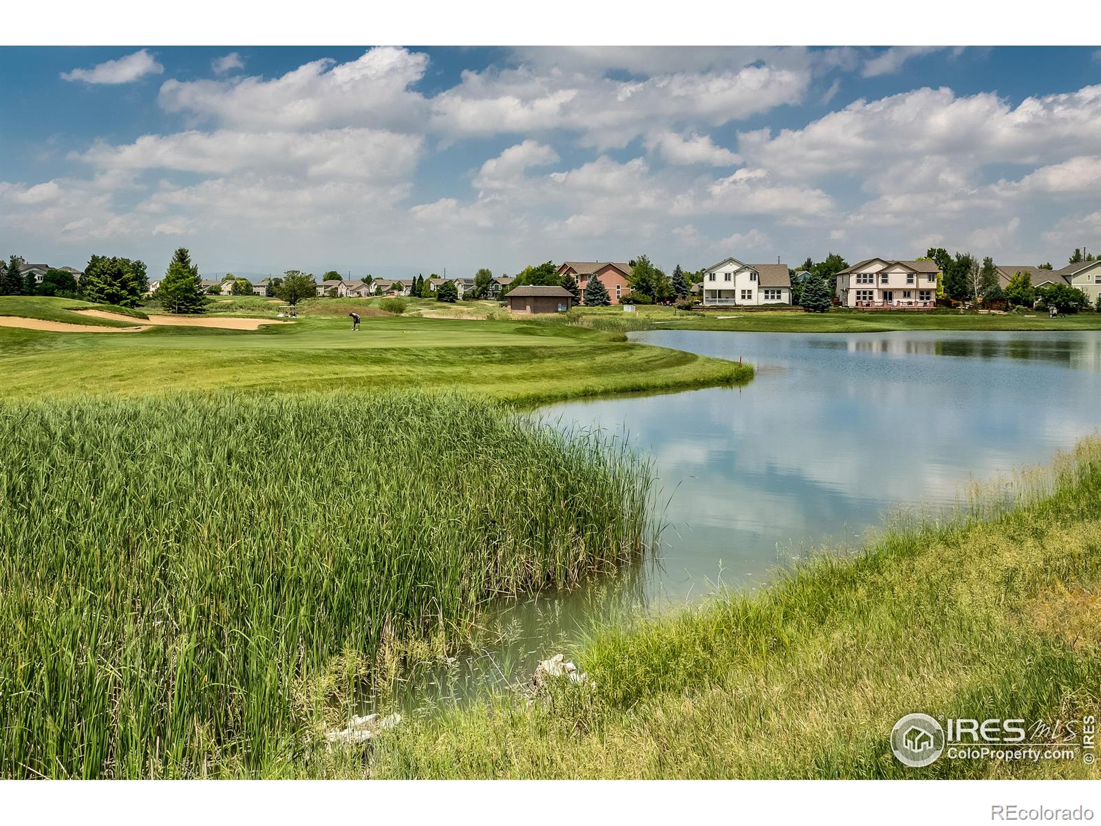 MLS Image #32 for 1703  whitehall drive,longmont, Colorado