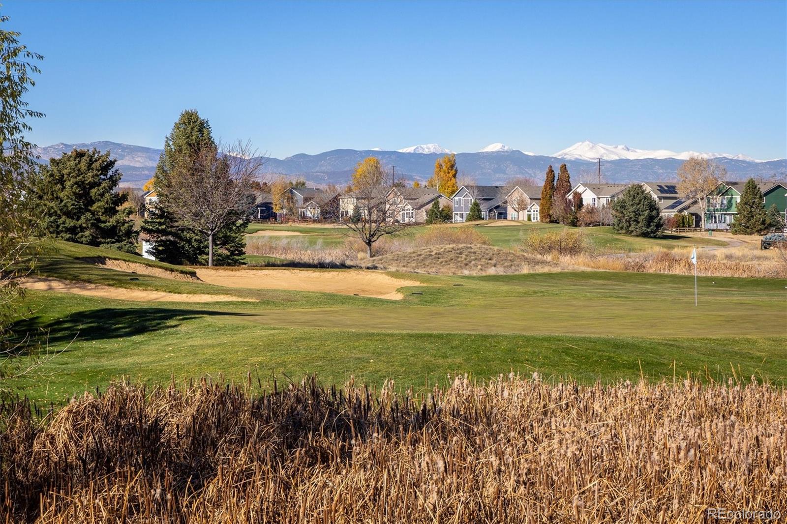 MLS Image #26 for 1703  whitehall drive,longmont, Colorado